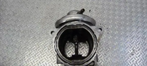 Volkswagen Golf V EGR valve 038131501AN 3197081