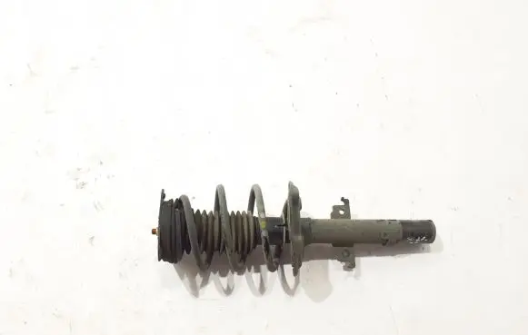 Renault Scenic IV - Grand scenic IV Front shock absorber/damper 543021401R