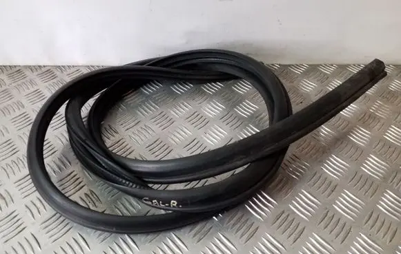 Mitsubishi Grandis Rear door rubber seal (on body) 