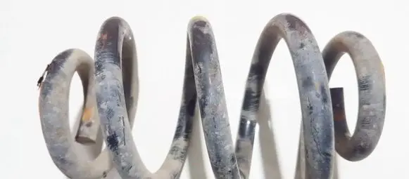 Front coil spring