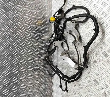 Peugeot 3008 III Other wiring loom 9842054080
