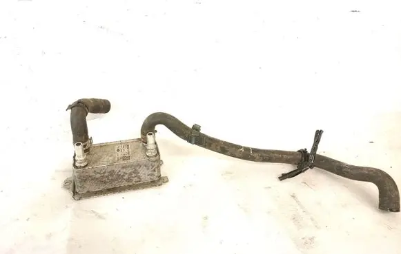 Land Rover Range Rover Sport L494 Engine oil radiator X6003001
