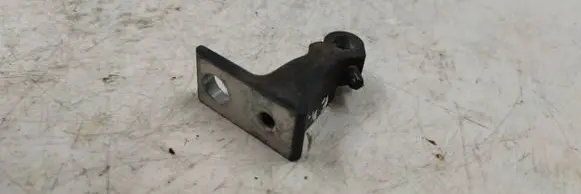 Rear door lower hinge