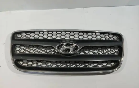 Hyundai Santa Fe Front grill E865612B010