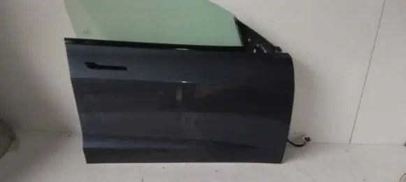 Tesla Model 3 Front door