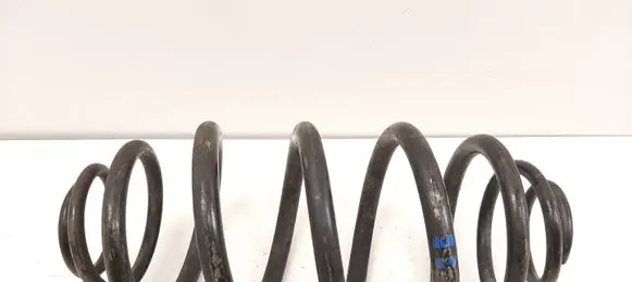 Opel Insignia A Rear coil spring