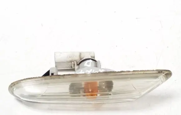 Front fender indicator light