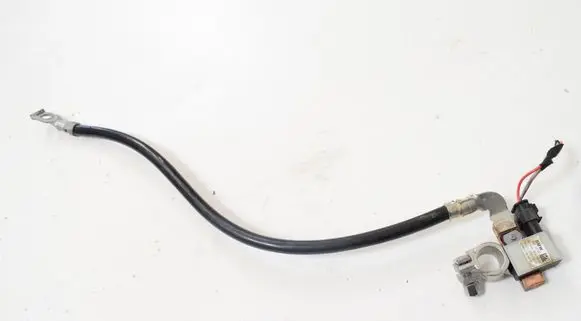 BMW Z4 E89 Positive wiring loom 7616199