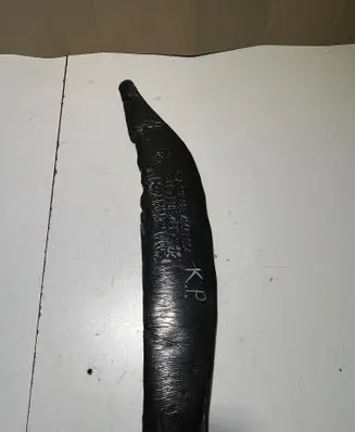Fender foam support/seal
