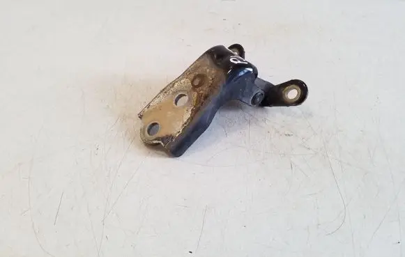 Chevrolet Captiva Front door lower hinge 