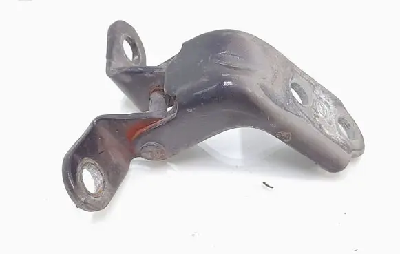 Hyundai ix35 Front door lower hinge 