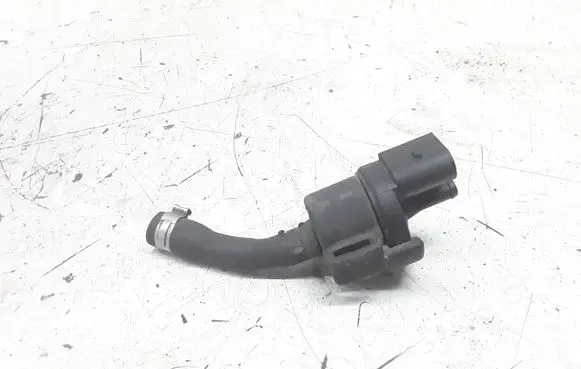 Vacuum valve
