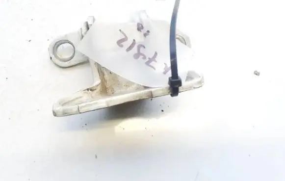 Rear door lower hinge
