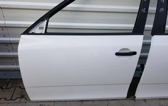 Skoda Fabia Mk2 (5J) Front door 