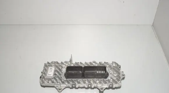 BMW X1 U11 Other control units/modules 0260005451