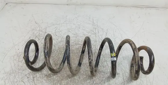Volkswagen Golf V Rear coil spring