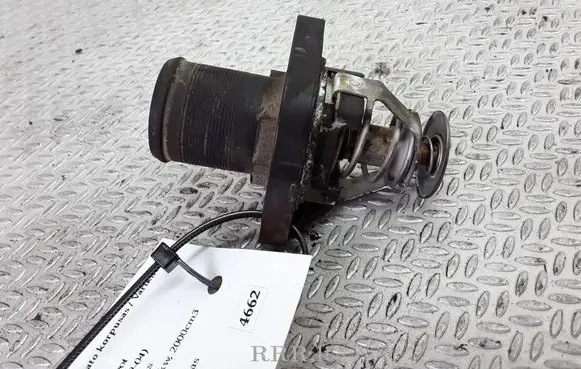 Thermostat/thermostat housing