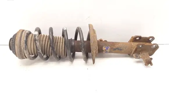 Opel Zafira B Front shock absorber/damper