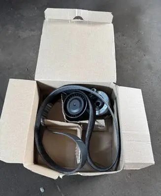 Renault Express Alternator belt 117203804R