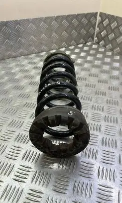 Land Rover Discovery Sport Rear coil spring FK725B749EB