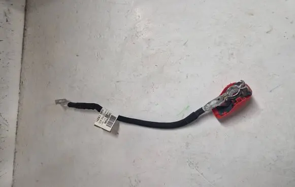 Citroen C4 III e-C4 Positive cable (battery) 9834292680