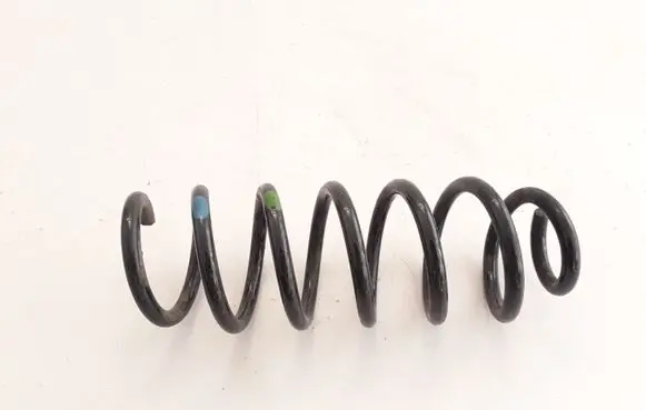 Renault Kadjar Rear coil spring 550204EA3B