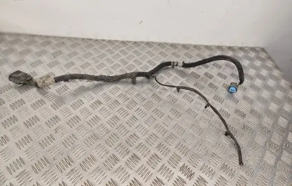 Ford S-MAX Other wiring loom E1GT14A069