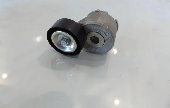 Fiat Doblo Timing belt/chain tensioner 55244469