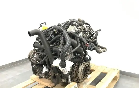 Nissan Juke I F15 Engine HRA2 287348A
