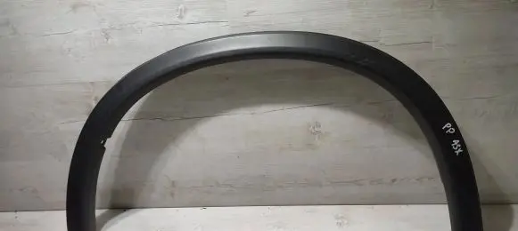 Fender trim (molding)