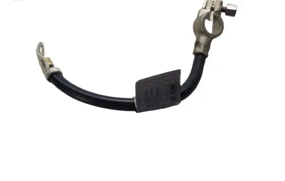 Mercedes-Benz B W245 Negative earth cable (battery) A1695406409 551570