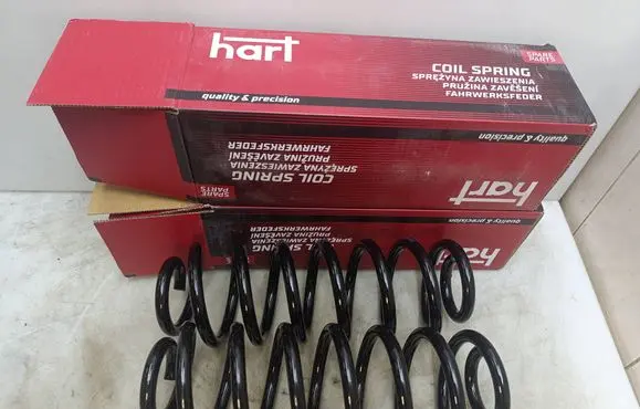 Volkswagen Touran I Rear coil spring 465874 455310 902198855699