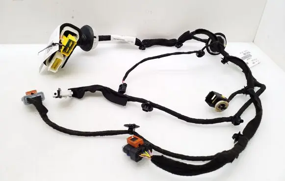 Front door wiring loom
