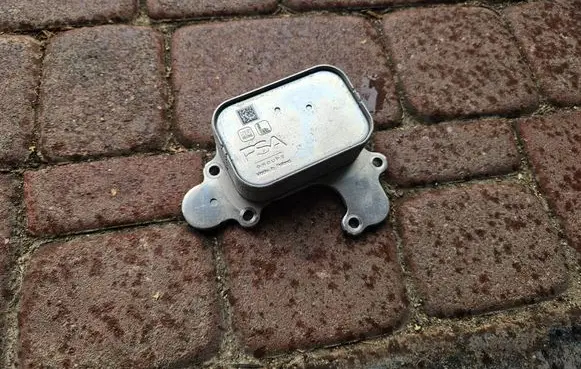 Citroen Berlingo Engine oil radiator OPELCZESCI.com-F51