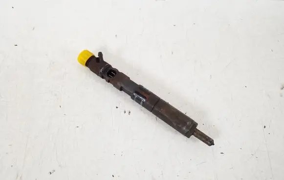 Nissan NV200 Fuel injector 166001137R