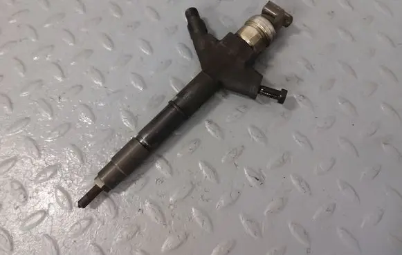 Nissan Murano Z51 Fuel injector 166005X00A