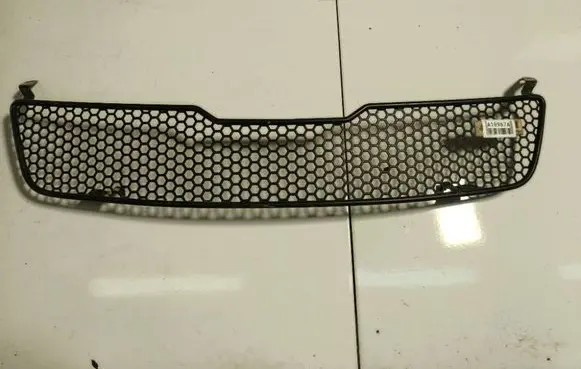 Volkswagen PASSAT B5 Front bumper lower grill