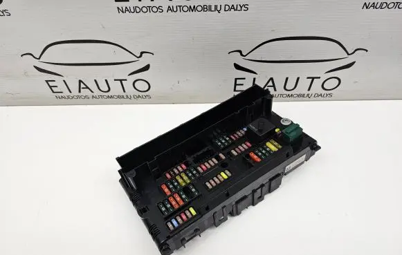 BMW 5 F10 F11 Fuse module 9252815 1703344 260212