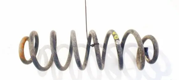 Rear coil spring