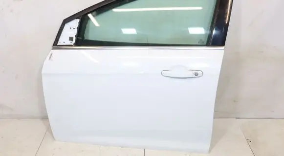 Ford Focus Front door 