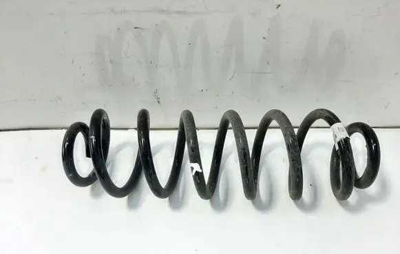Rear coil spring