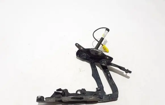 Porsche Panamera (971) Engine bonnet/hood hinges 971823611