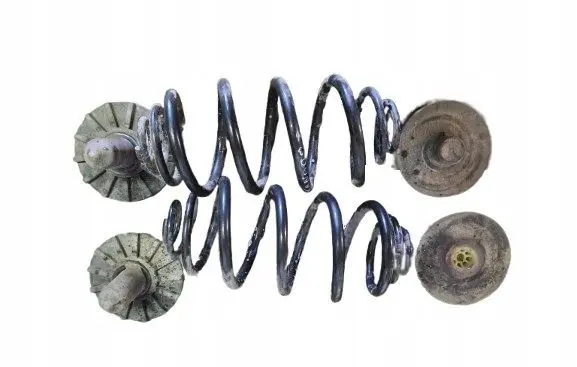 Renault Kangoo II Rear coil spring