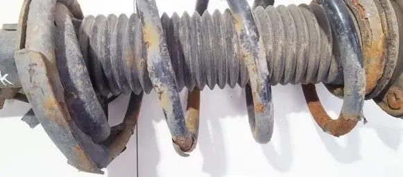 Ford Focus Front coil spring