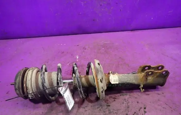 Opel Meriva A Front shock absorber with coil spring 