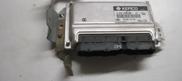 Hyundai Getz Engine control unit/module 3910622140