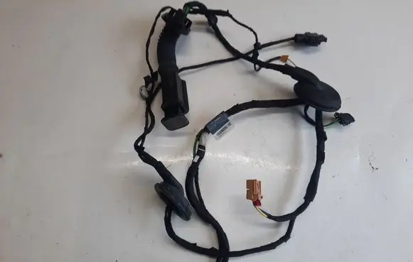 Audi A4 S4 B9 Rear door wiring loom 8W0971687AC