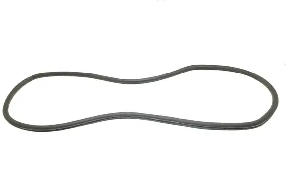 Rear door rubber seal (on body)