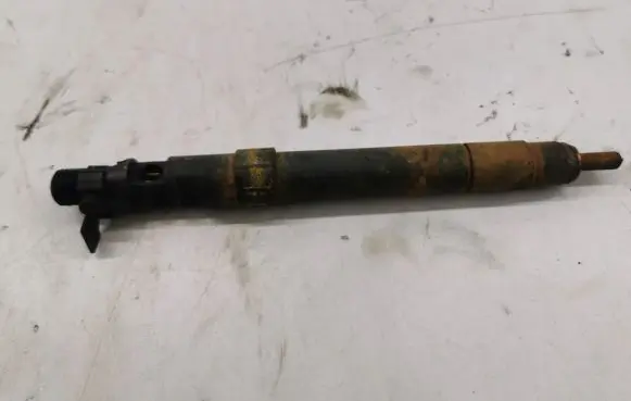 Citroen DS4 Fuel injector 9686191080