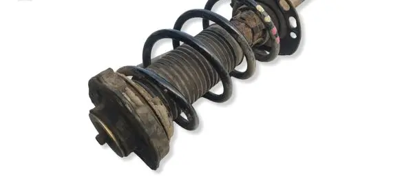 Volkswagen Golf V Front shock absorber/damper 1K0413031BG